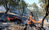 هشدار نسبت به وقوع آتش‌سوزی در جنگل‌ها و مراتع در کهگیلویه و بویراحمد